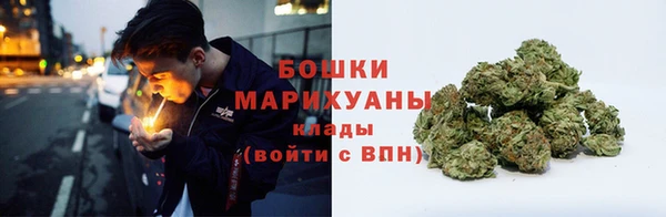 бошки Алексин
